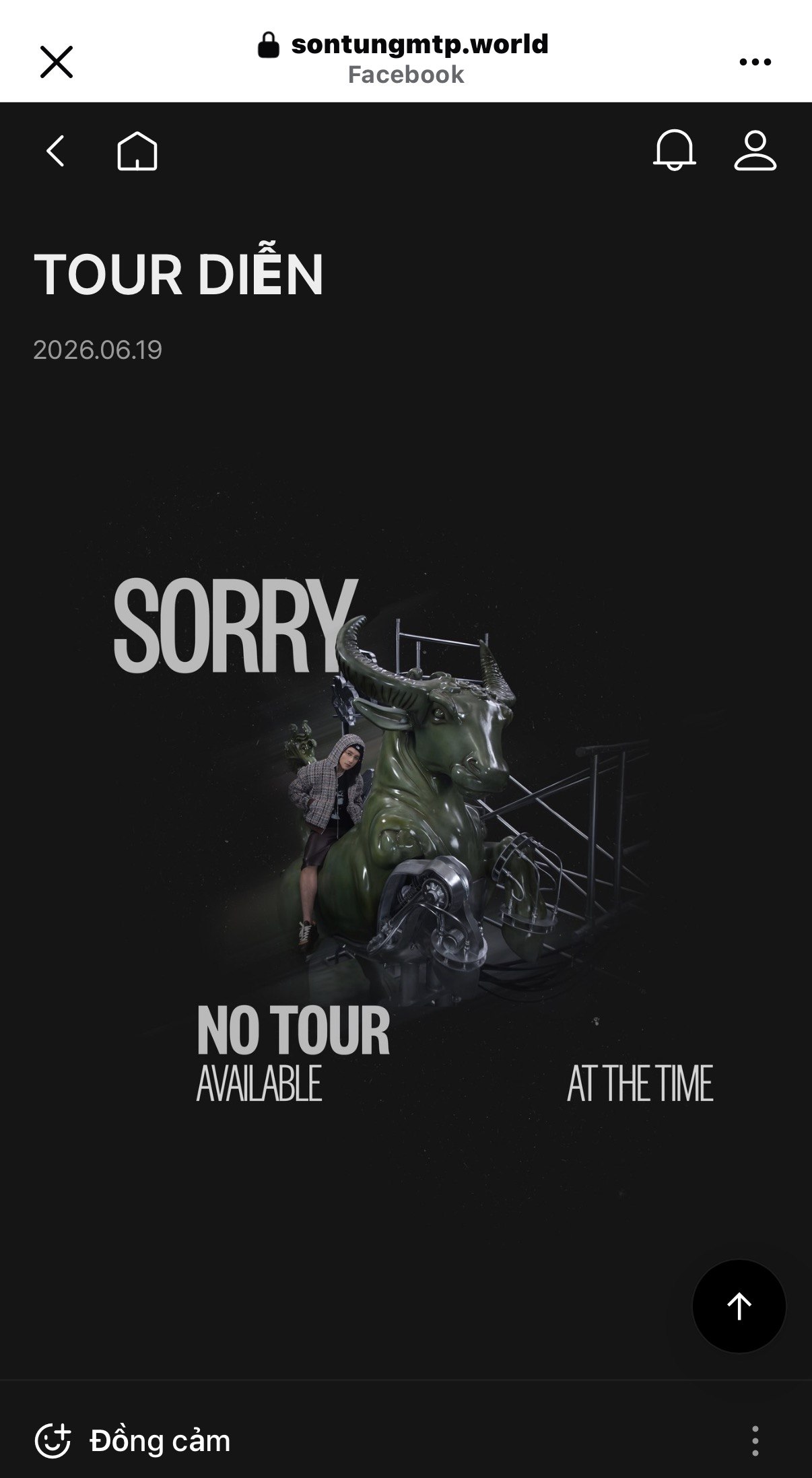 Phần tour diễn trên website của Sơn Tùng
