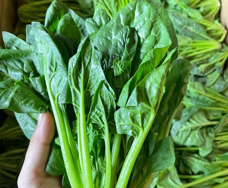 4 loại rau giàu sắt chẳng thua kém thịt bò: Chợ Việt không thiếu, bán rẻ bèo nhưng nhiều người không biết mà ăn