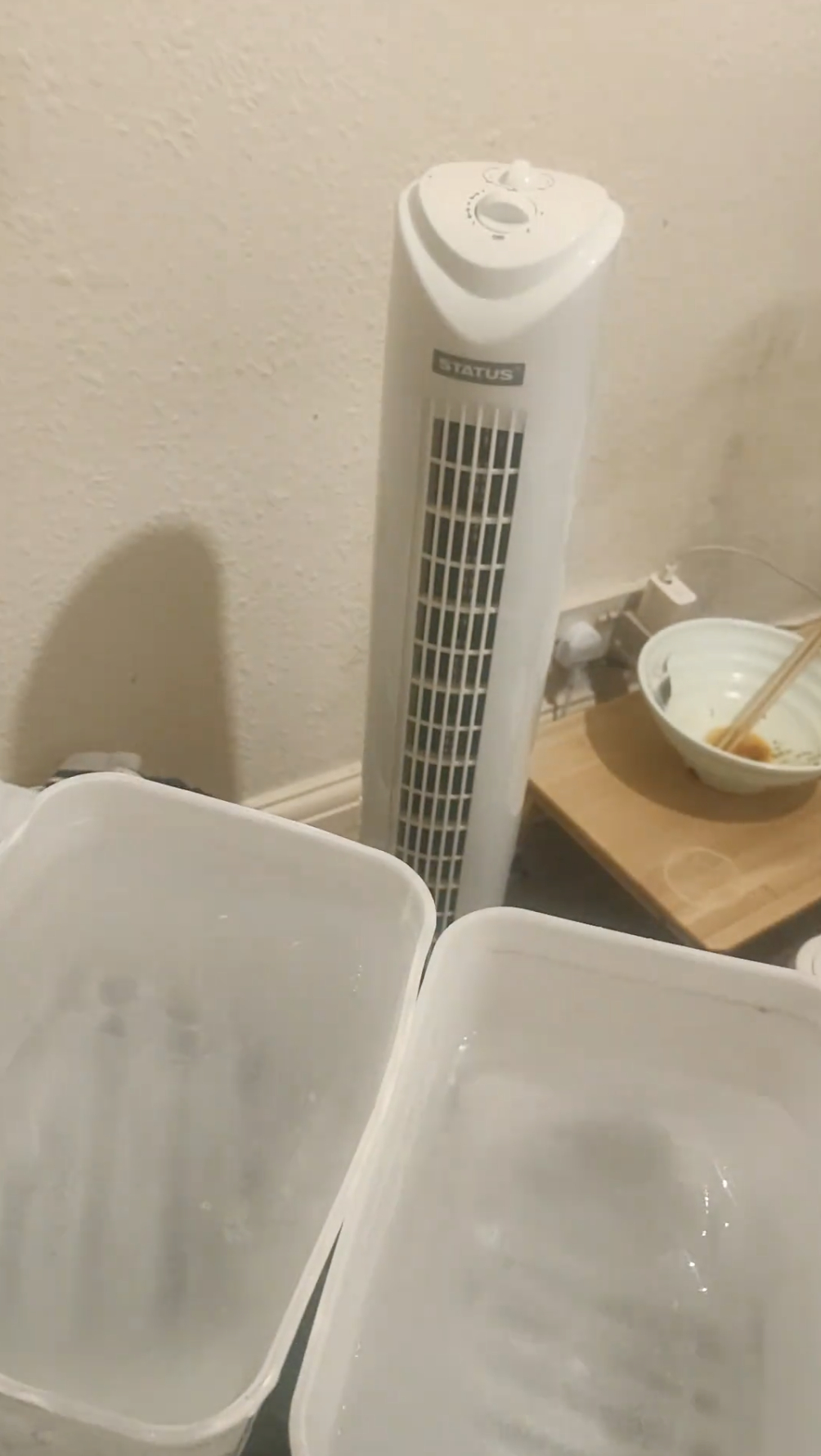 Và cách phổ biến nhất chính là đặt chậu hoặc bát đựng đá lạnh trước quạt