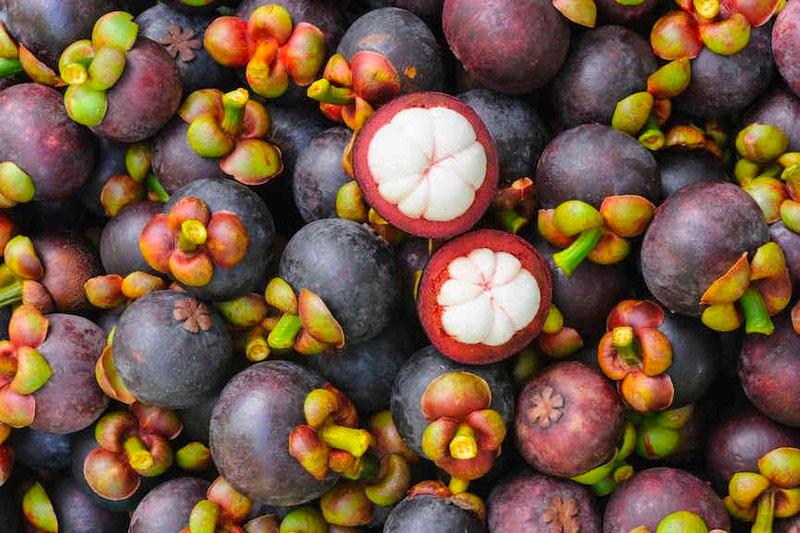 Măng cụt từ lâu đã được mệnh danh là 
