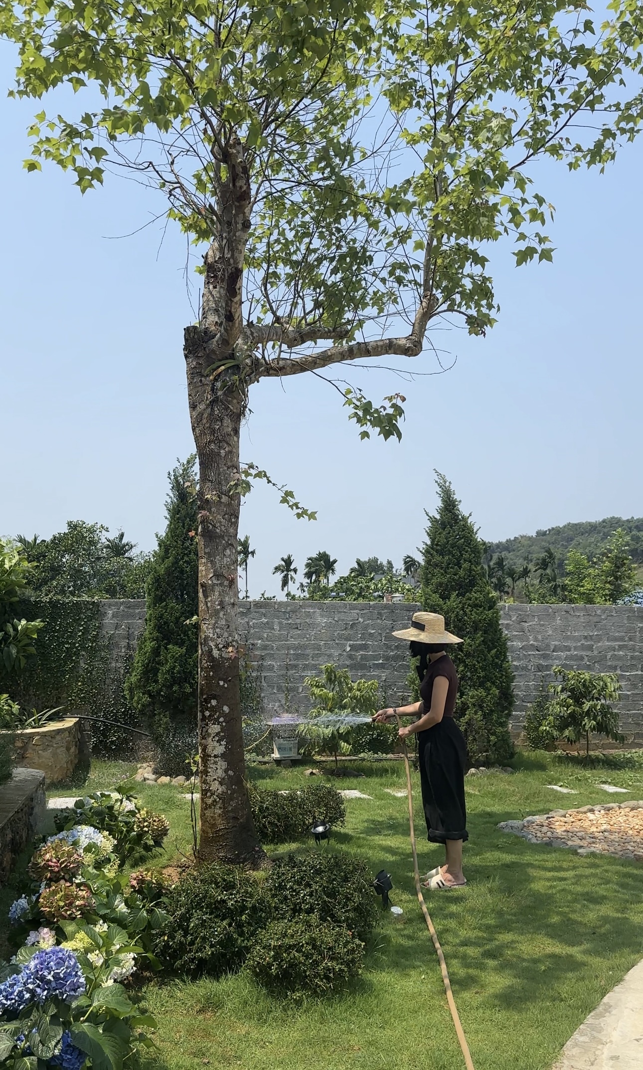 Hương Giang cho biết điều đắt giá nhất sau tuổi 30 là có một căn nhà nhưng cũng là khu vườn của riêng mình, chiều chiều ngồi chill, tự tay trồng cây, chăm sóc.