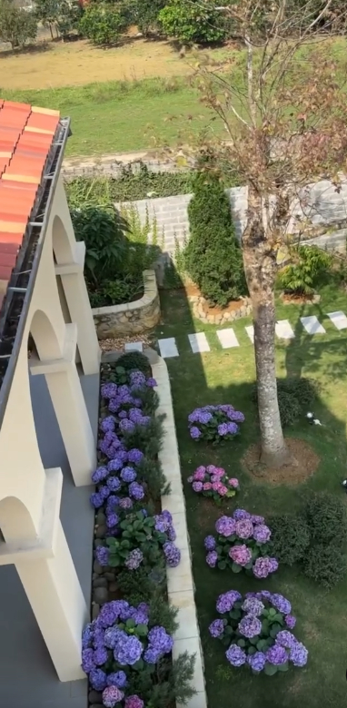 Nhà trồng nhiều hoa và cây ăn trái.
