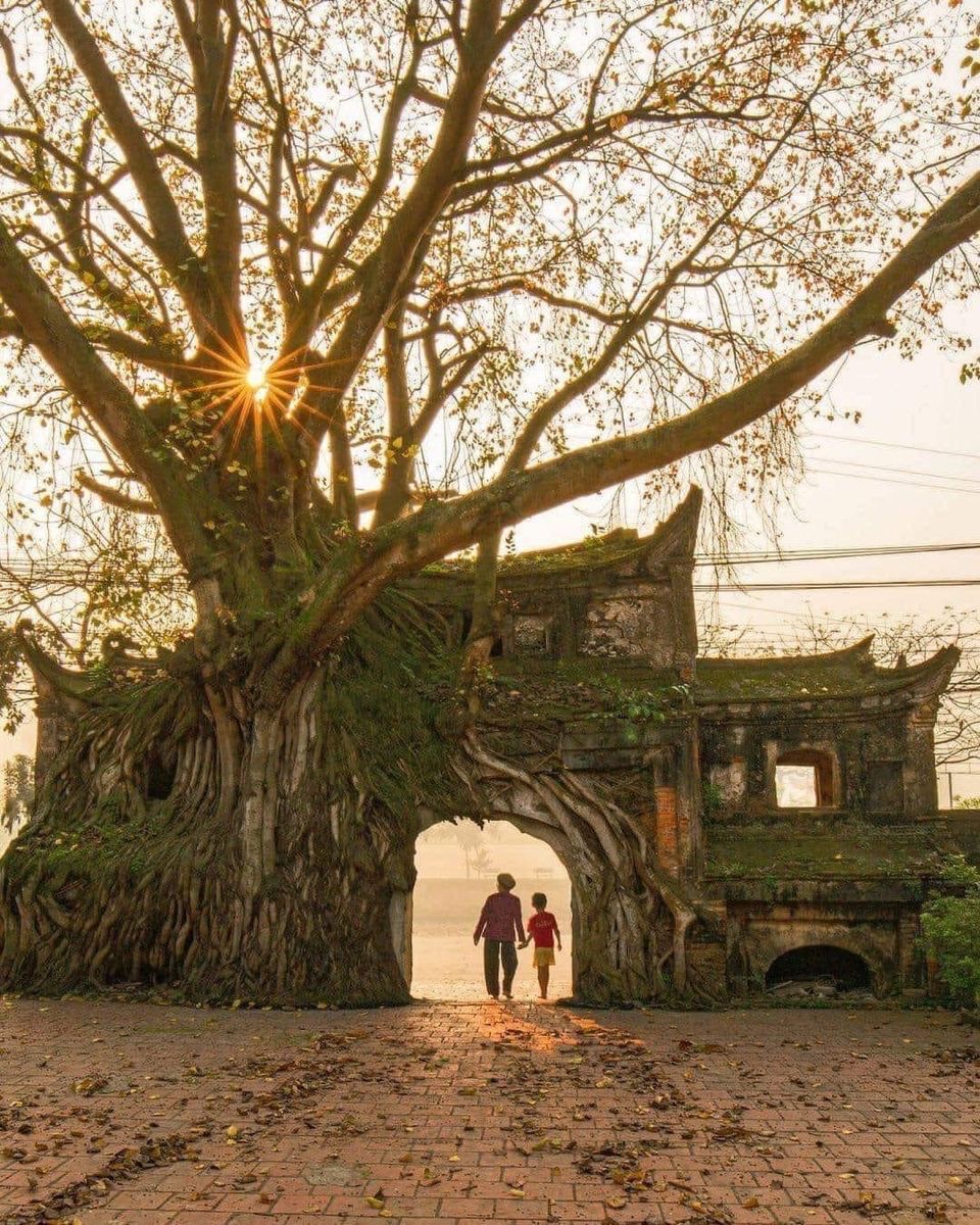 Việt nam có ngôi làng mát lạnh 400 năm không cần điều hòa, lại còn là
