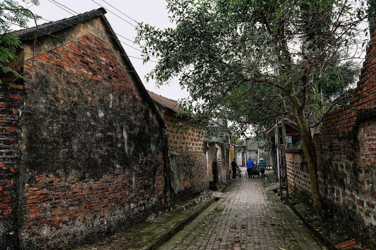 Việt nam có ngôi làng mát lạnh 400 năm không cần điều hòa, lại còn là