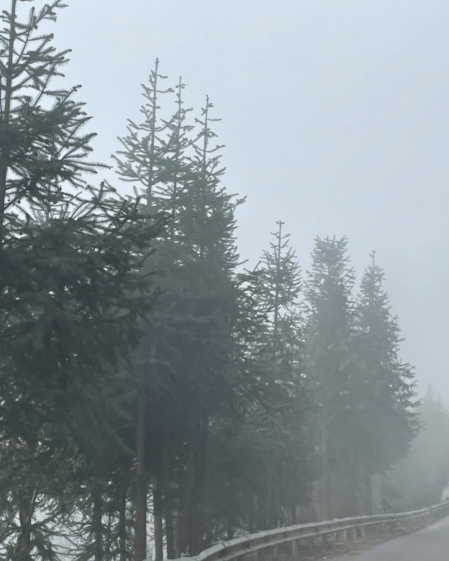Ảnh: vivid.ec