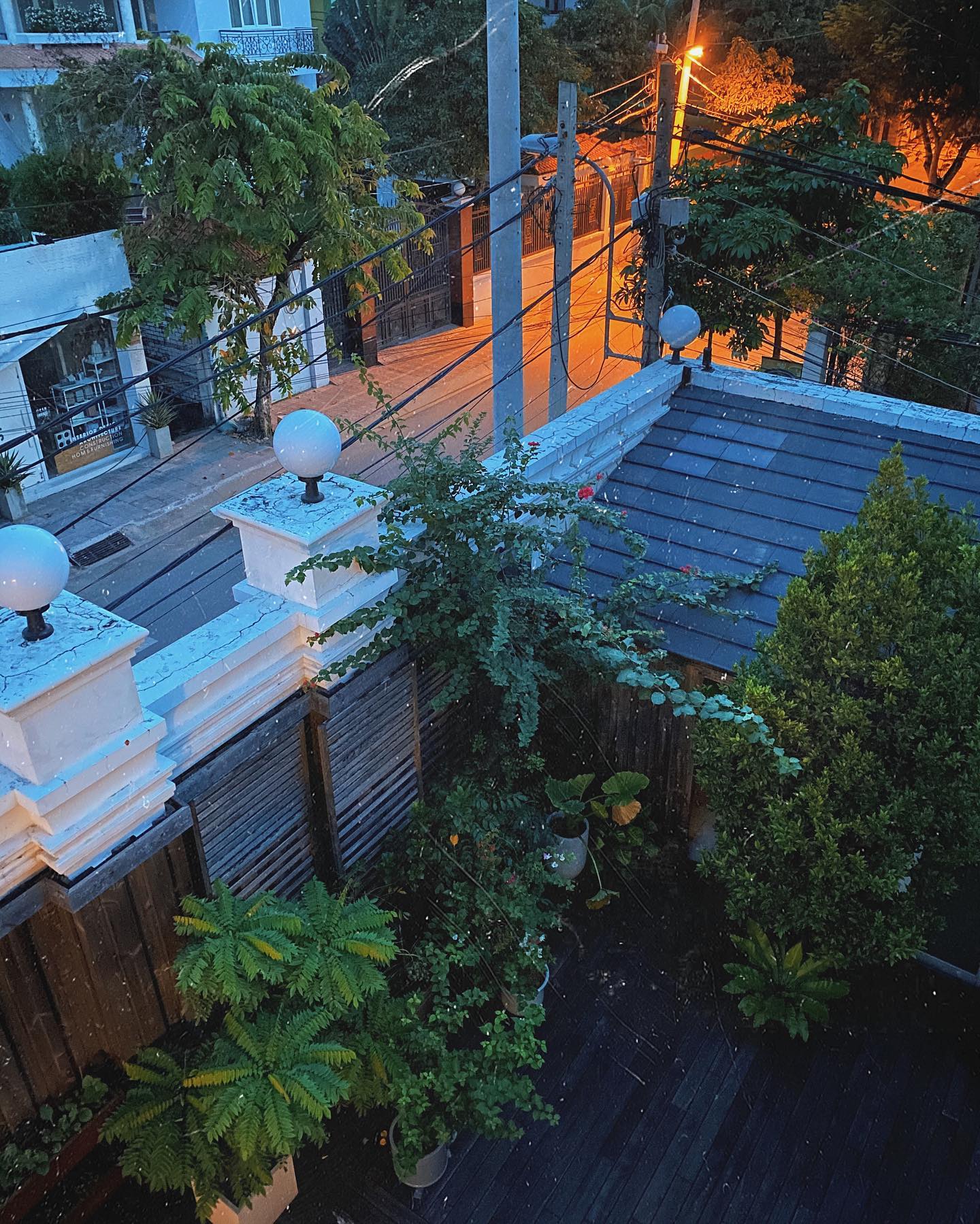 Khu vườn trồng nhiều cây xanh, hoa và rau. 