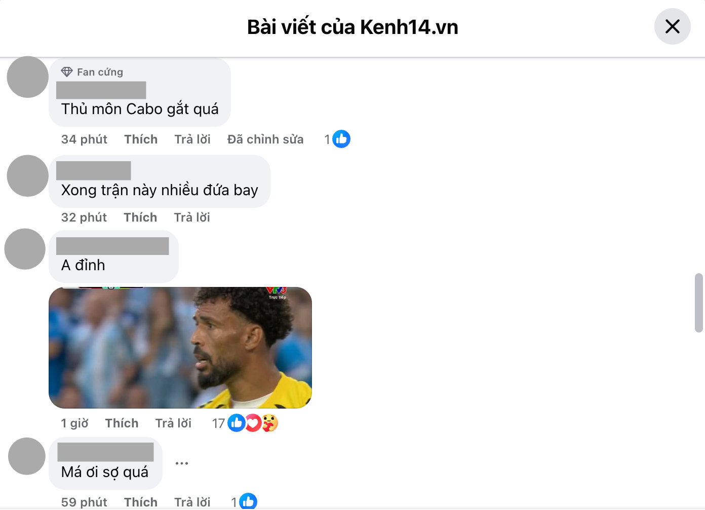Phản ứng náo nhiệt từ cư dân mạng