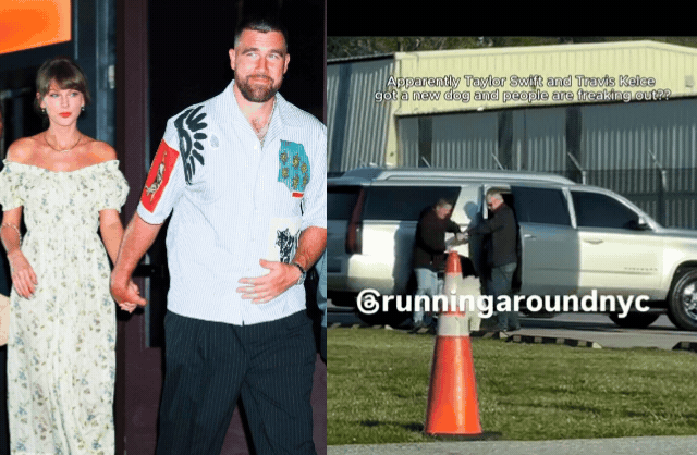 Vợ chồng Taylor Swift được cho là đã nhận nuôi 1 chú cún. Ảnh: CG Images.