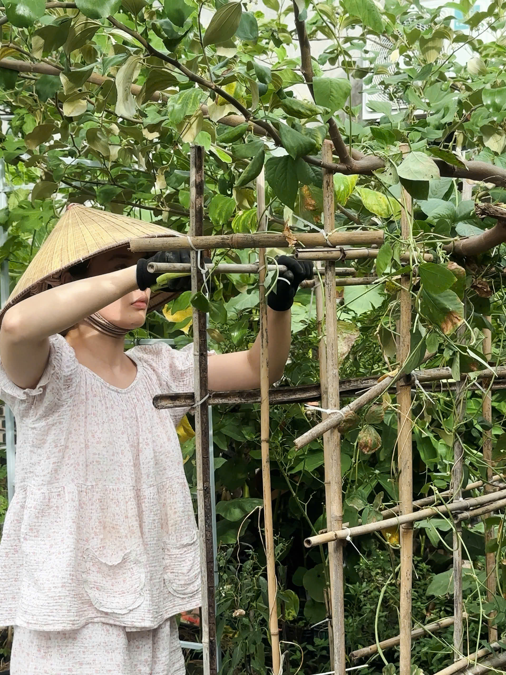 Work from anywhere: Rời Hà Nội và TP HCM, 2 người trẻ xây nhà, lương đều, ít ốm vặt và tiết kiệm hơn