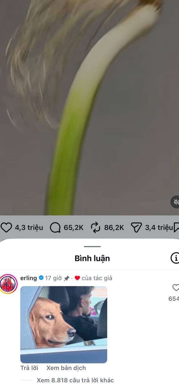 Haaland cũng hài hước lắm đó nha.