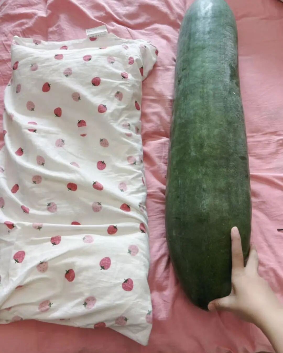 Ngủ với bí đao cũng tiềm ẩn nhiều rủi ro sức khỏe (Ảnh minh họa)