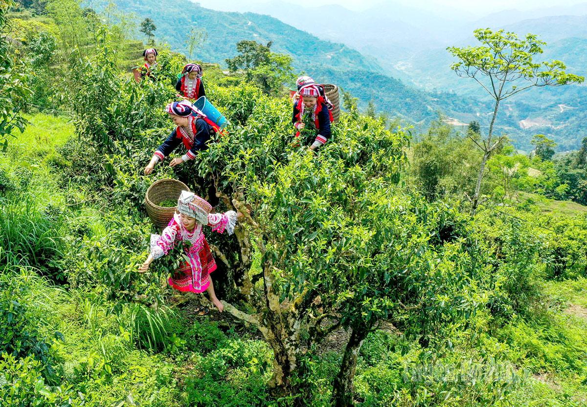 Việt Nam vừa có một xã vùng cao sánh ngang Thái Lan, Nhật Bản tại giải thưởng du lịch danh giá nhất châu Á