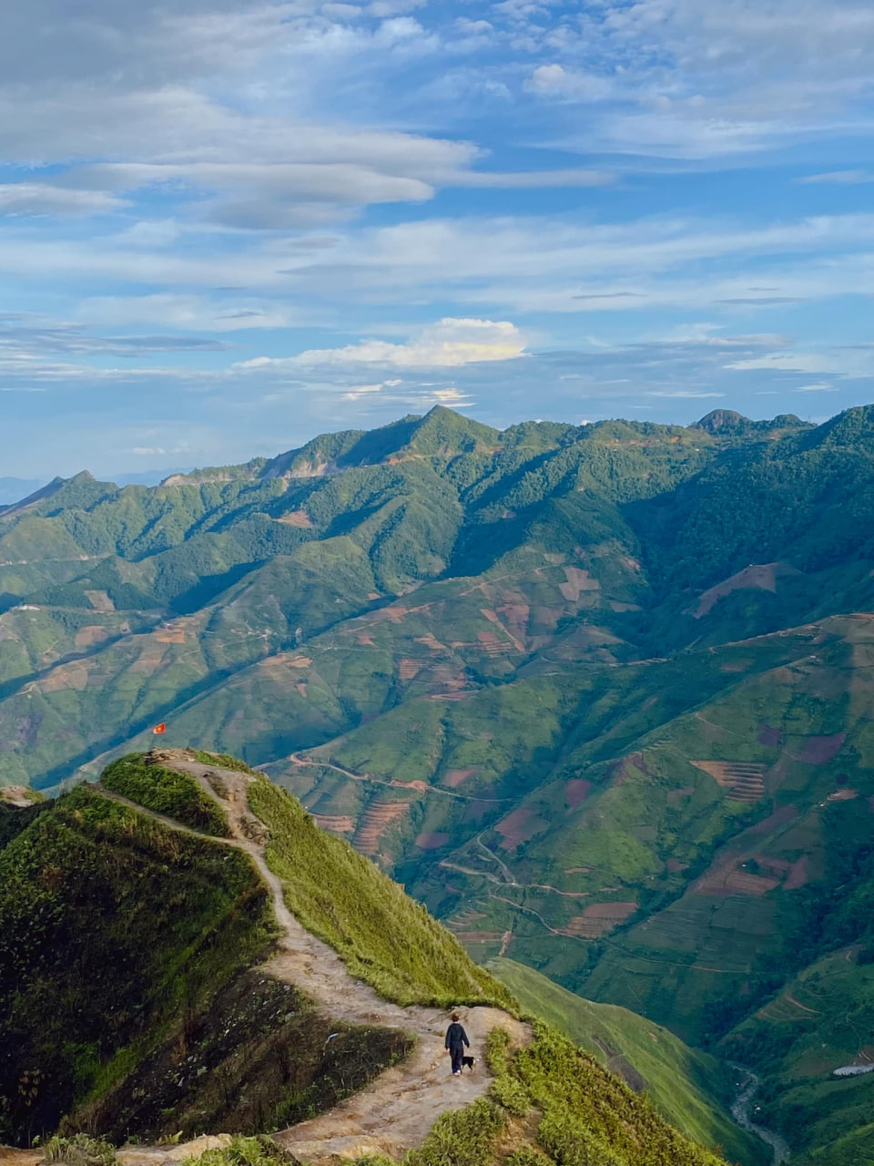 Sống lưng khủng long Háng Đồng 