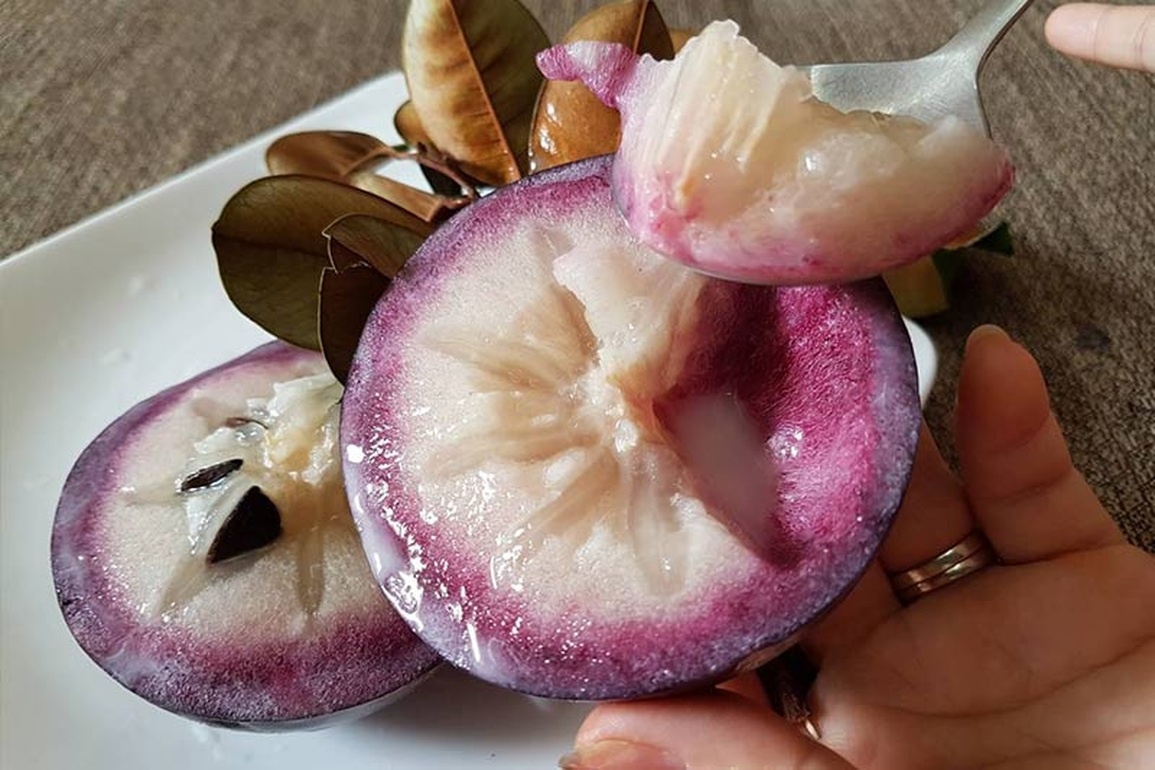 Vì sao gọi là quả vú sữa?