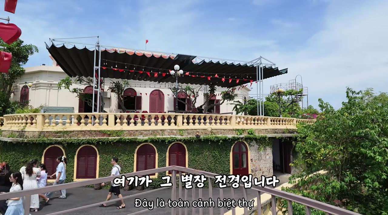 Khách Hàn Quốc mang theo hoa ly ra thẳng Đồ Sơn chỉ để kiểm chứng một điều mà không ai nghĩ tới