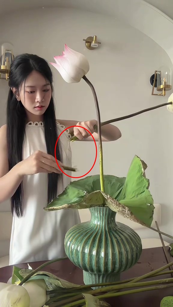 Lê Bống cắm hoa sen “chọc giận” 1 triệu người