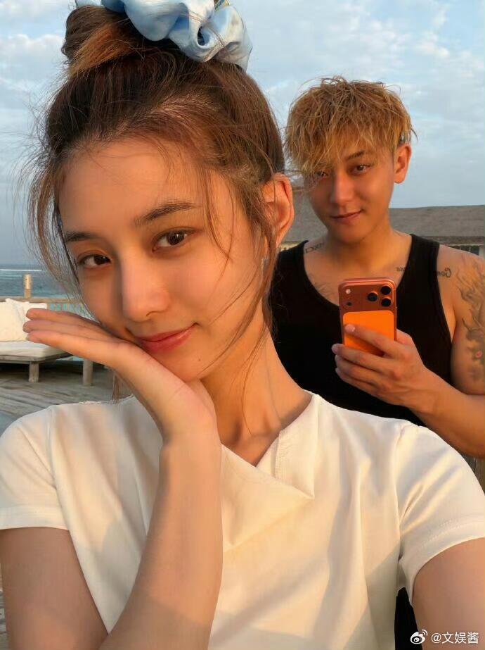 Vợ chồng Hoàng Tử Thao - Từ Nghệ Dương từng xảy ra trục trặc vào tháng 1 năm nay. Ảnh: Sina. 