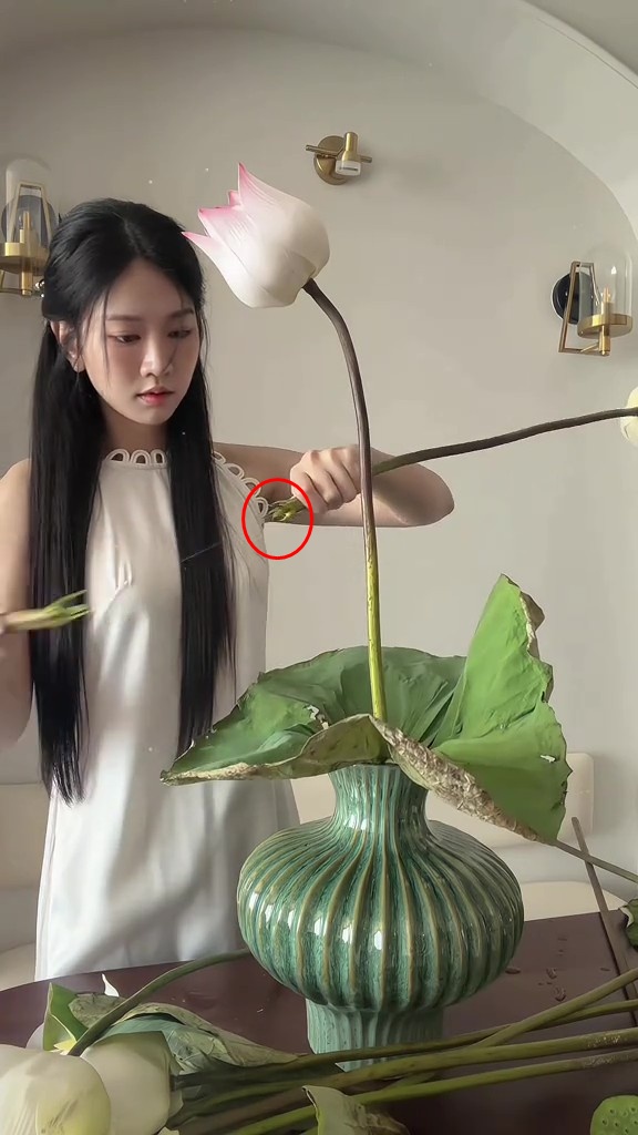 Lê Bống bẻ thân hoa sen, khiến thân hoa bị tưa như xơ mướp (Ảnh cắt từ clip)