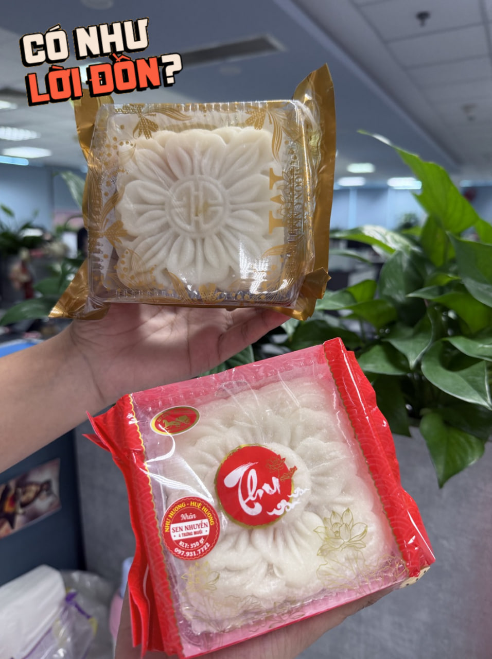 Quá đáng tiếc 2 phiên bản “bánh dẻo thị phi” mùa Trung thu 2026: Bản cũ lộm cộm ngọt gắt, bản mới bay sạch hương hoa đặc trưng