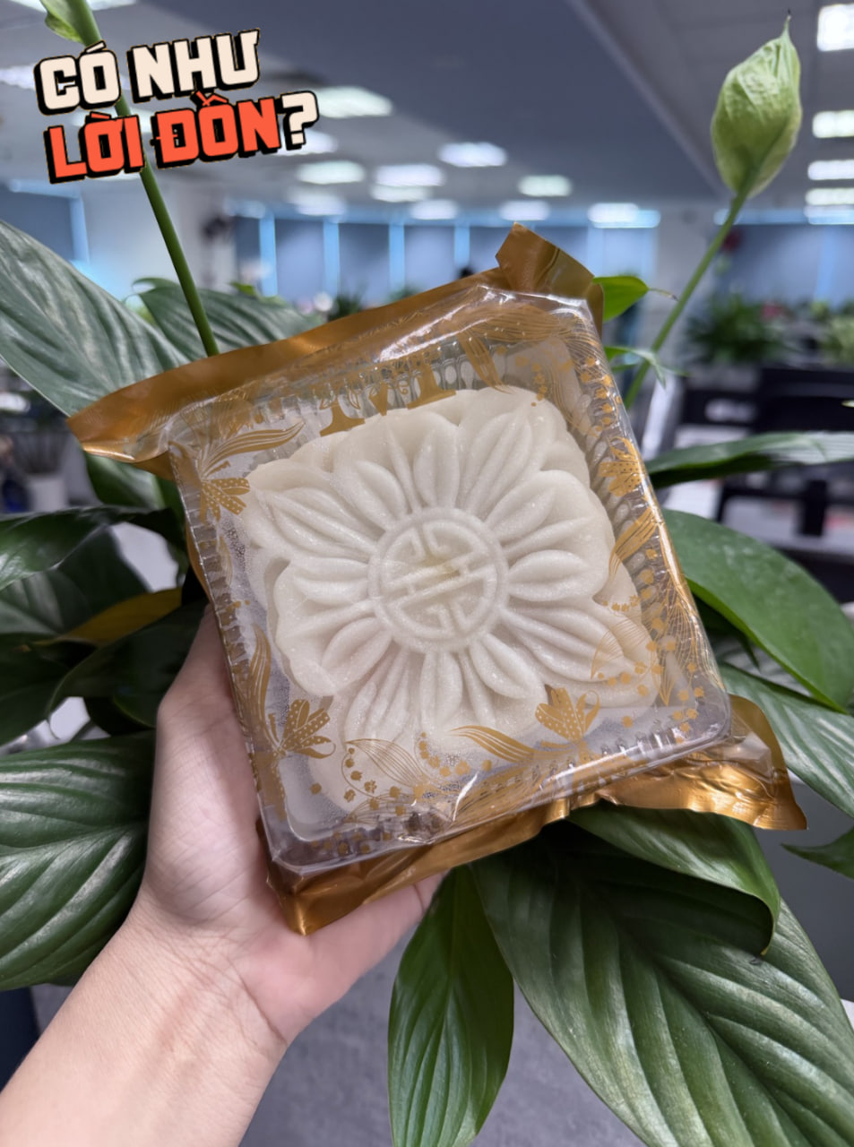 Quá đáng tiếc 2 phiên bản “bánh dẻo thị phi” mùa Trung thu 2026: Bản cũ lộm cộm ngọt gắt, bản mới bay sạch hương hoa đặc trưng