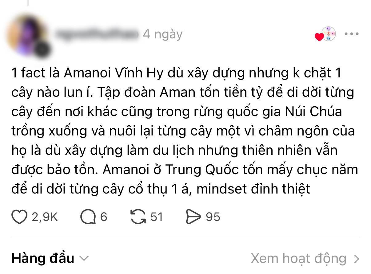 Một bình luận về Amanoi thu hút sự quan tâm của dân mạng