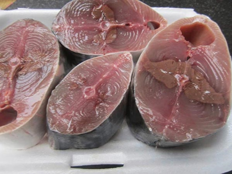 6 loại cá giàu omega-3 bậc nhất