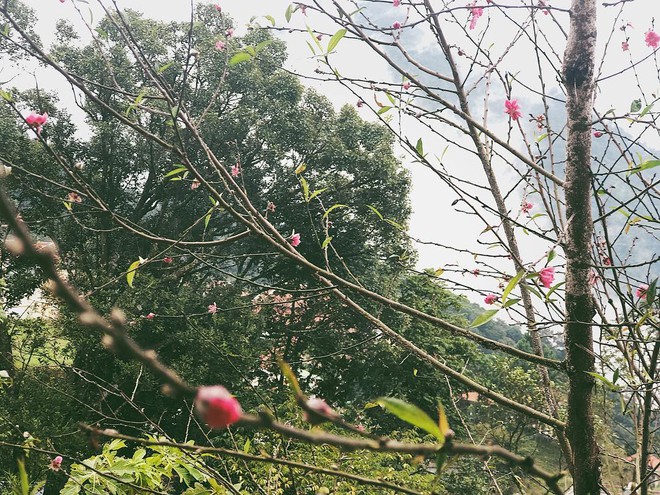 Chiếc view núi đồi cực chill từ nhà của Hoàng Thuỳ Linh