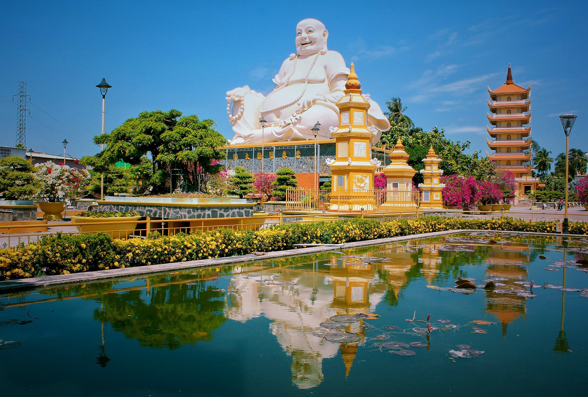 Trốn cảnh đợi xuồng 2 tiếng ở cồn Thới Sơn, du khách “quay xe” sang khu bảo tồn chim hoang dã 25 năm tuổi chỉ với 100.000 đồng