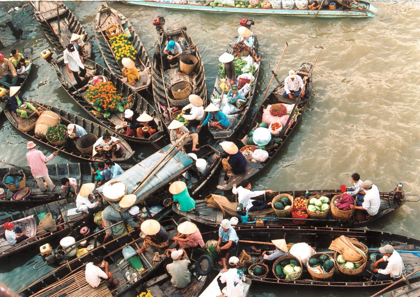 Trốn cảnh đợi xuồng 2 tiếng ở cồn Thới Sơn, du khách “quay xe” sang khu bảo tồn chim hoang dã 25 năm tuổi chỉ với 100.000 đồng