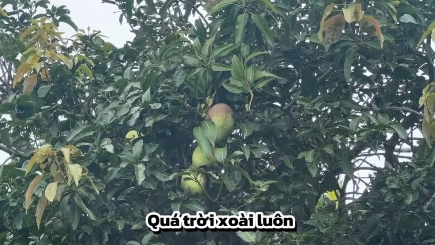 Căn nhà ở quê của