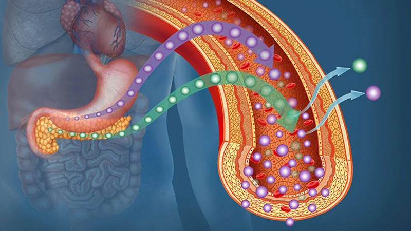 Tiểu đường gây ra nhiều biến chứng về mạch máu (Ảnh minh họa)