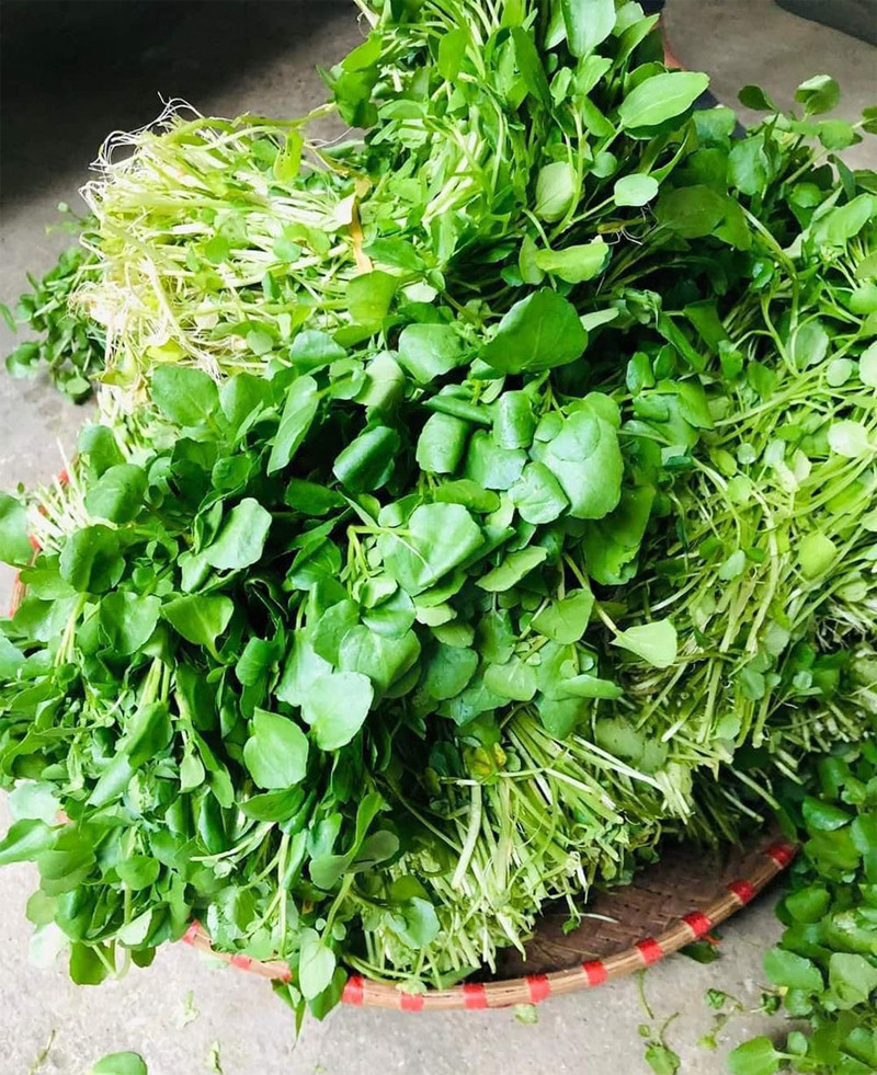 Cải xoong bán nhiều, giá rẻ tại các hợ hay siêu thị Việt (Ảnh minh họa)