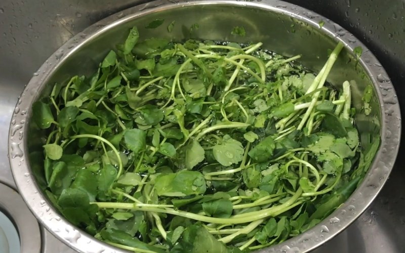 Rửa rau cải xoong là công đoạn phải chú trọng làm kỹ, làm nhiều lần (Ảnh minh họa)