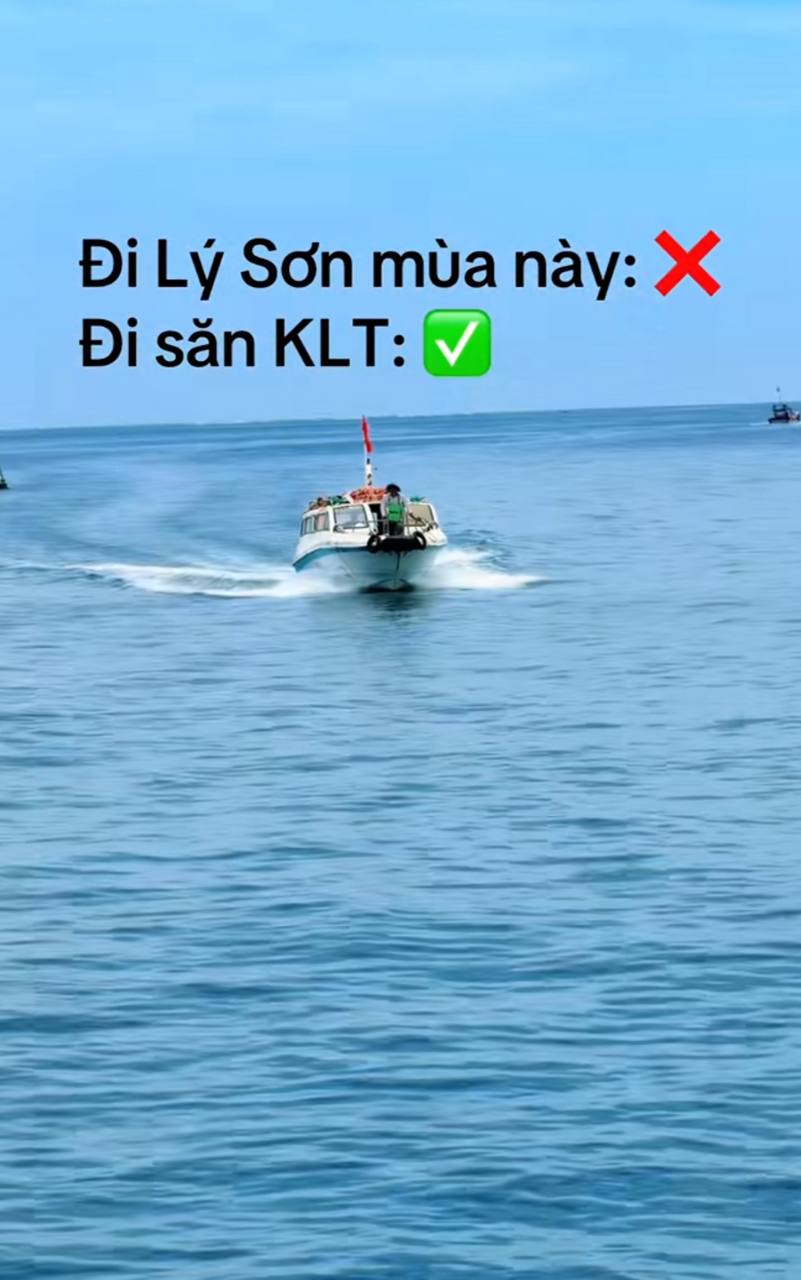 Khoai Lang Thang bất ngờ trở thành