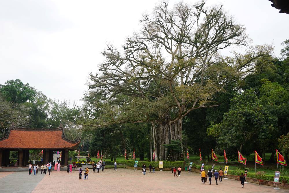 Hàng năm, khu di tích lịch sử Quốc gia đặc biệt Lam Kinh thu hút rất đông khách du lịch. Ảnh: Báo Lao động