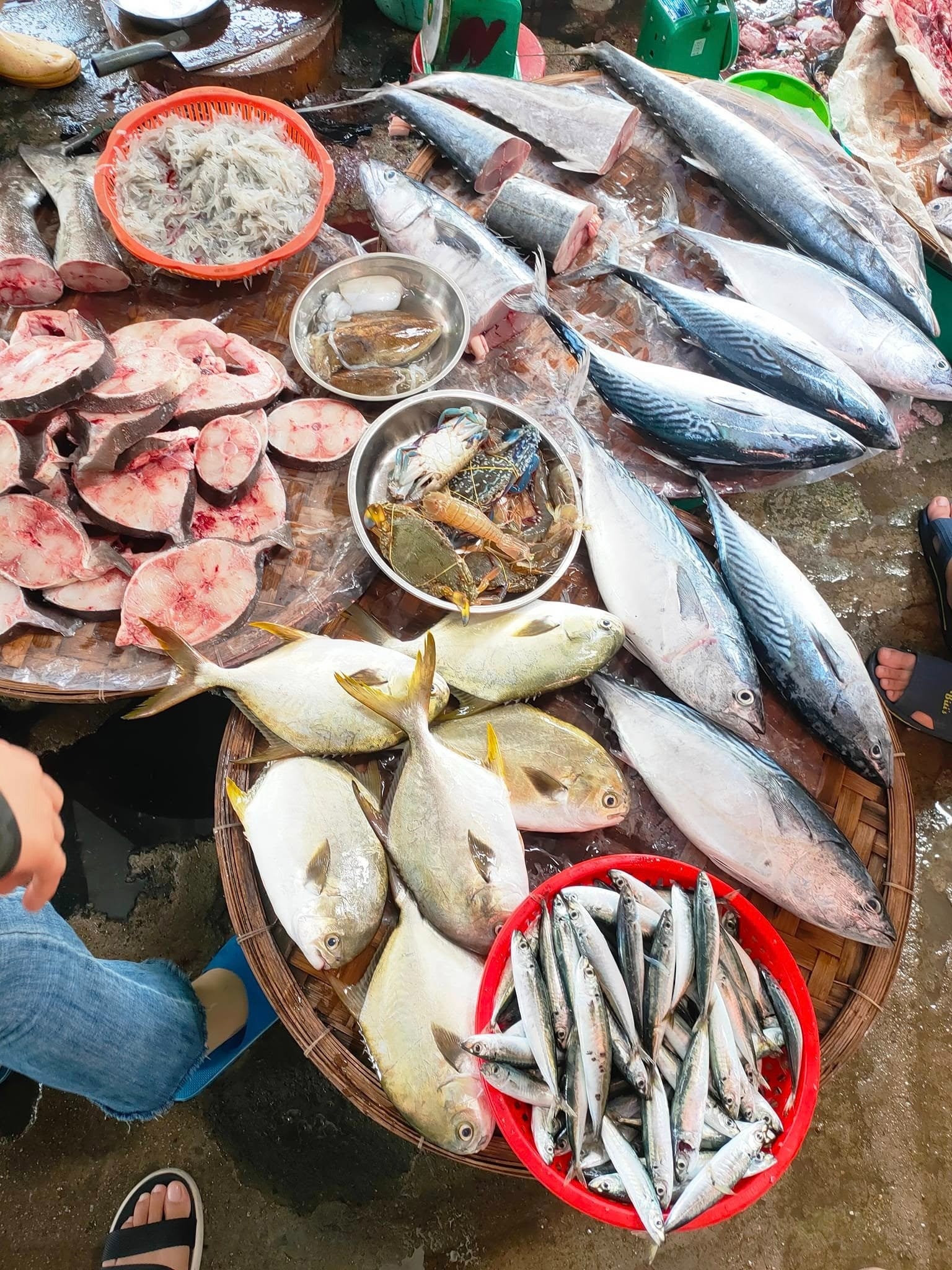 Người bán cá nói thật: Khách thường chọn con to, người trong nghề lại nhìn vào 5 dấu hiệu này trước