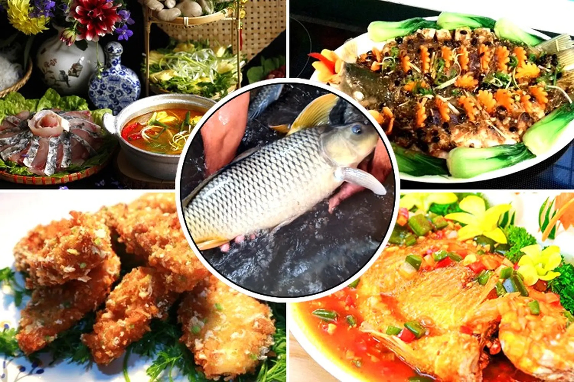 Cá chép có thể nấu được nhiều món, rất được người Việt ưa chuộng (Ảnh minh họa)