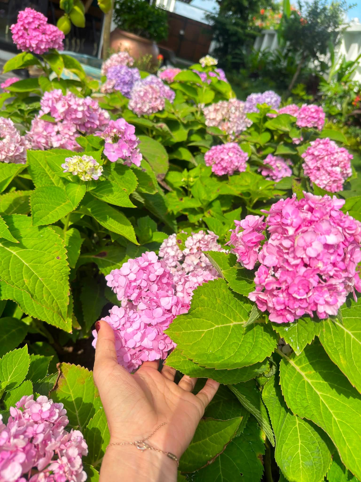 Bên ngoài biệt thự là không gian sân vườn xanh mát mắt, được trồng nhiều loại cây, hoa,...