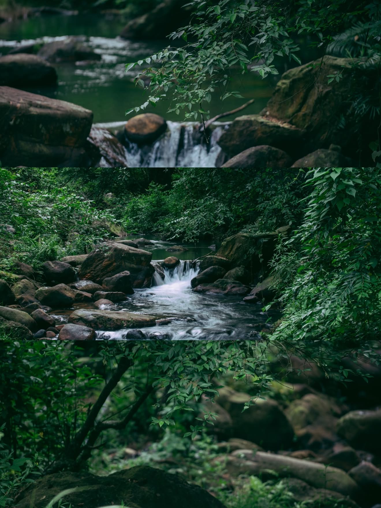 Ảnh: Tuấn Phương