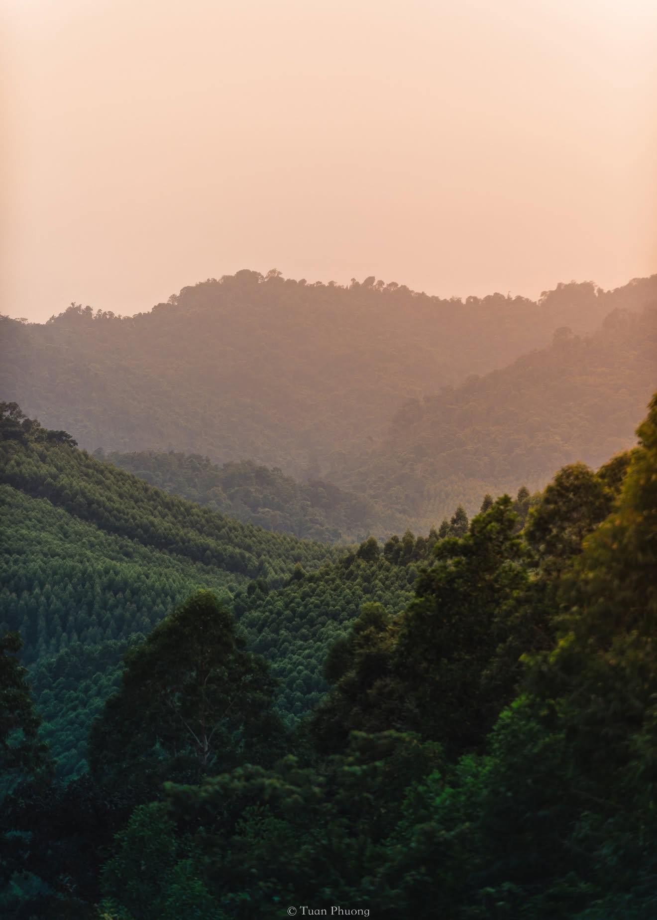 Ảnh: Tuấn Phương