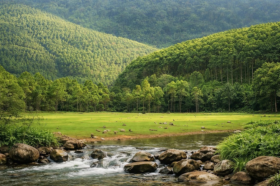 Việt Nam có một bãi cỏ mỗi năm chỉ nổi lên vài tháng rồi lại chìm xuống lòng hồ, cách Hà Nội đúng 80km