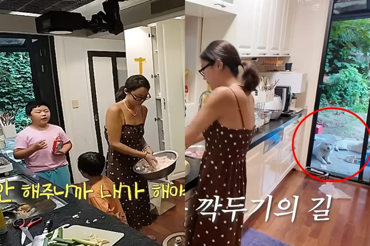 Hwang Jung Eum bị cho là nhốt thú cưng bên ngoài trời nắng nóng. Ảnh: Nate