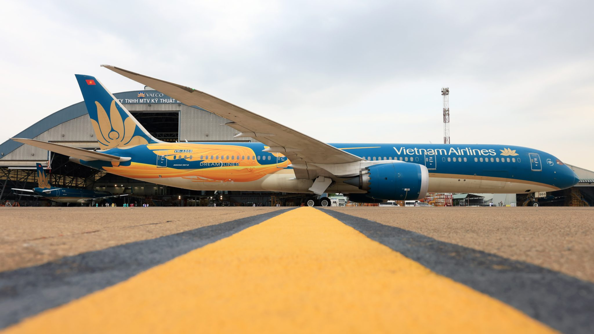 Chiếc Boeing 787 với chú chim lạc trên thân đánh dấu dấu mốc 30 năm vươn mình của Vietnam Airlines