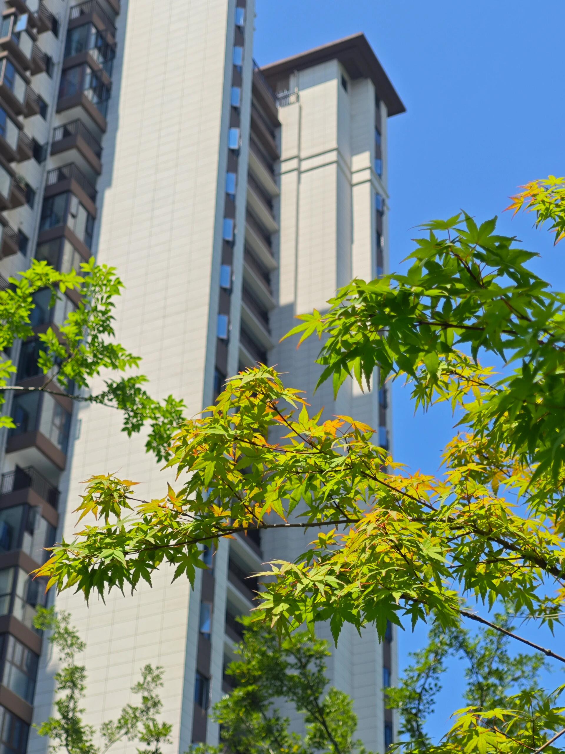 Bất chấp mọi lời khuyên, tôi bán căn hộ tầng 25 để chuyển xuống tầng 4: Ở rồi mới thấy