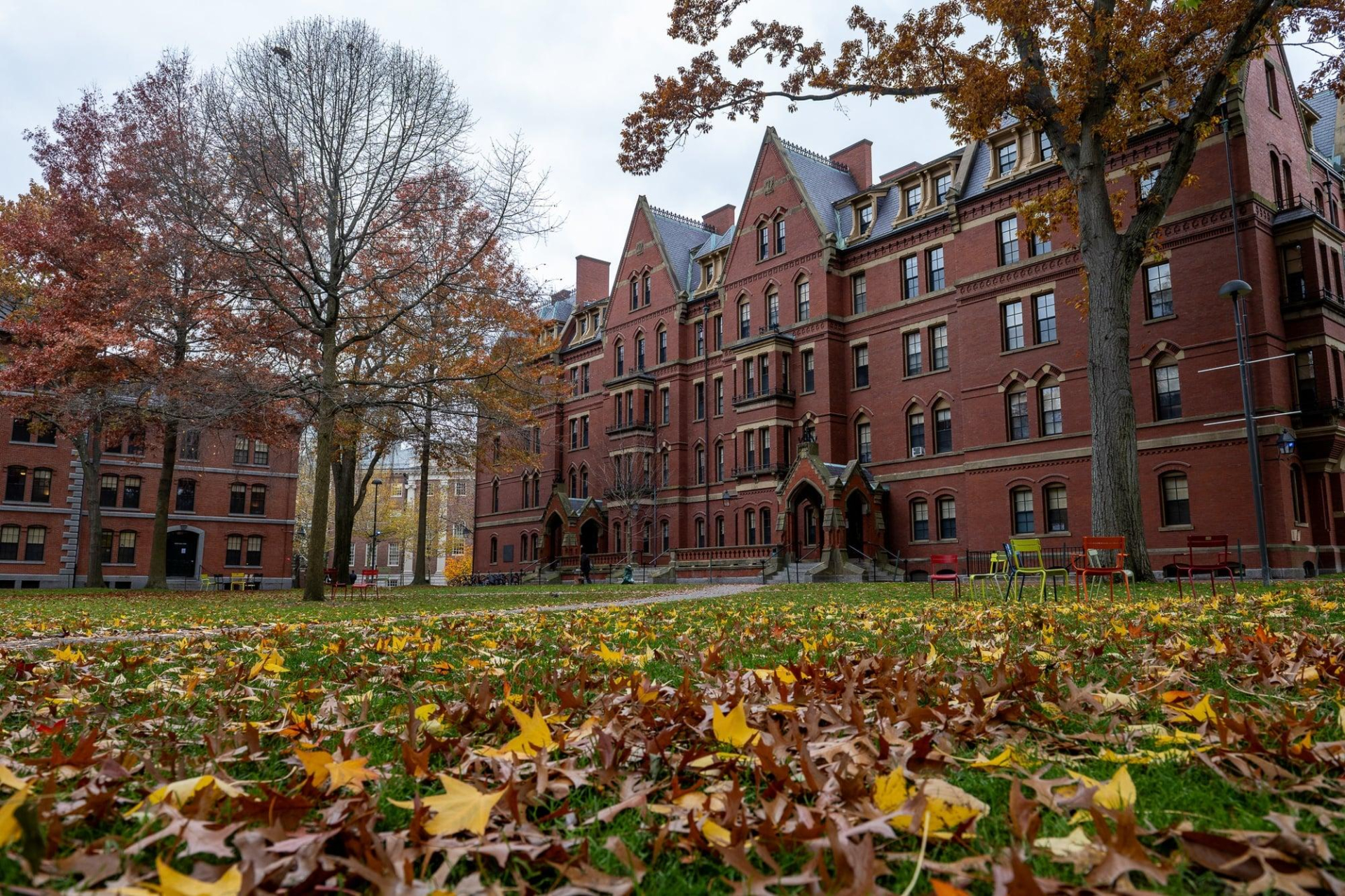 Bên trong KTX ĐH Harvard - ngôi trường nổi tiếng nhất hành tinh có gì?