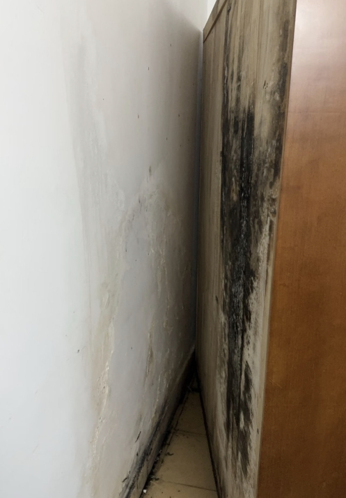 Nhà mới ở 2 năm đã 