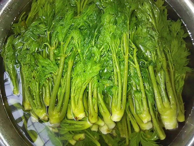 Việt Nam có loại rau dại được Trung, Nhật, Hàn cực ưa chuộng: Bổ như sâm, giá đắt hơn cả thịt!