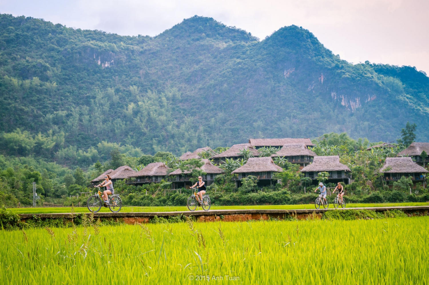 Ảnh sưu tầm