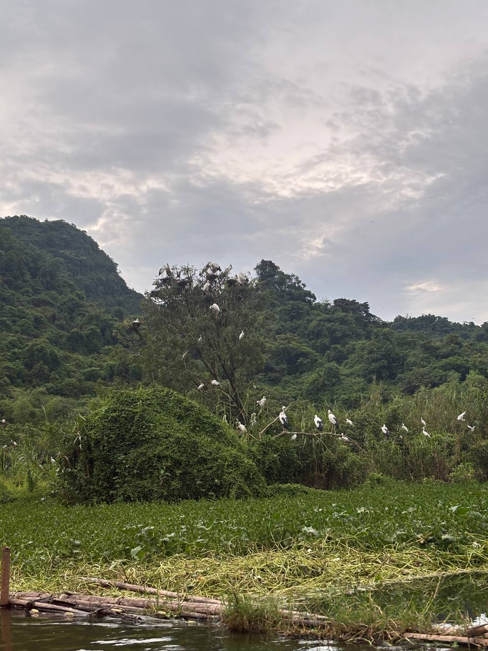 Diệu Linh tận dụng kỳ nghỉ lễ để đi phượt từ Hà Nội đến Ninh Bình và Pù Luông