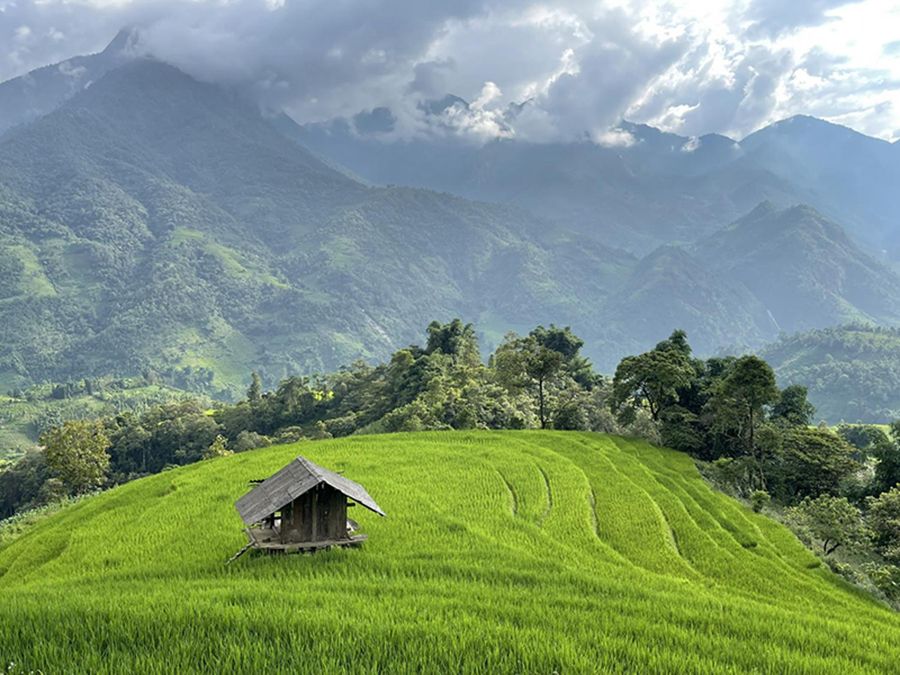 Ảnh sưu tầm
